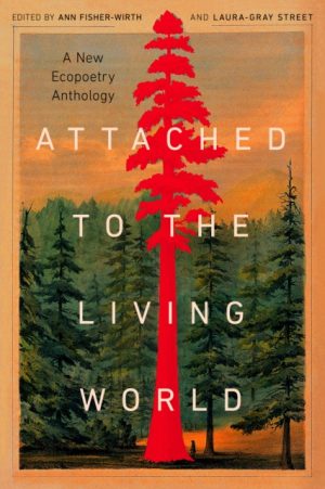 Attached to the Living World : A New Ecopoetry Anthology by Fisher-Wirth, Ann