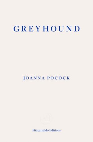 Greyhound by Pocock, Joanna