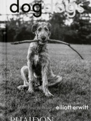 DogDogs by Erwitt, Elliott