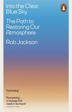 Into the Clear Blue Sky : The Path to Restoring Our Atmosphere by Jackson, Rob