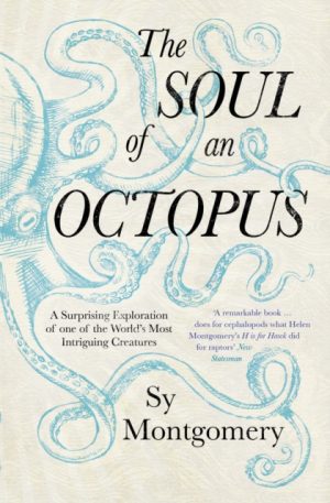 The Soul of an Octopus : A Surprising Exploration Into the Wonder of Consciousness by Montgomery, Sy