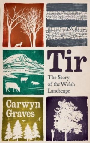 Tir : The Story of the Welsh Landscape by Graves, Carwyn