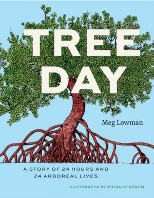 Tree Day : A Story of 24 Hours and 24 Arboreal Lives by Lowman, Meg