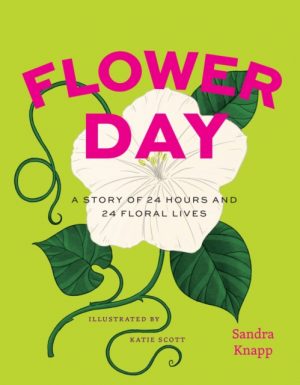 Flower Day : A Story of 24 Hours and 24 Floral Lives by Knapp, Sandra
