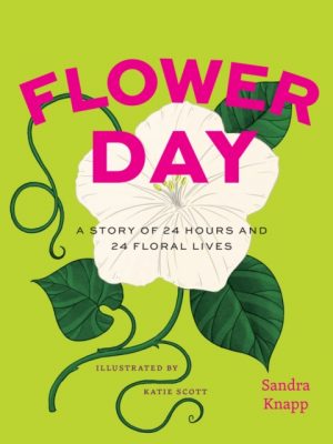 Flower Day : A Story of 24 Hours and 24 Floral Lives by Knapp, Sandra