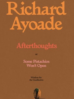 Afterthoughts : or Some Pistachios Won't Open – Wisdom for the Unreflective by Richard Ayoade