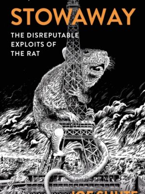 Stowaway : The Disreputable Exploits of the Rat – A NEW SCIENTIST NON-FICTION BOOK OF THE YEAR by Shute, Joe