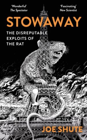 Stowaway : The Disreputable Exploits of the Rat – A NEW SCIENTIST NON-FICTION BOOK OF THE YEAR by Shute, Joe