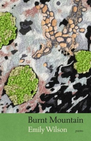 Burnt Mountain by Wilson, Emily