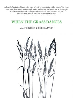 When the Grass Dances by Gillies, Valerie