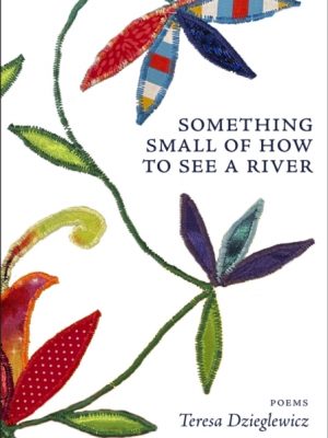 Something Small of How to See a River by Dzieglewicz, Teresa