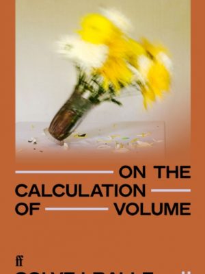 On the Calculation of Volume II by Balle, Solvej