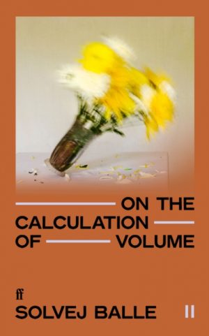 On the Calculation of Volume II by Balle, Solvej