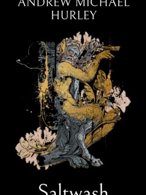 Saltwash : The chilling new novel from the 'master of menace' by Hurley, Andrew Michael