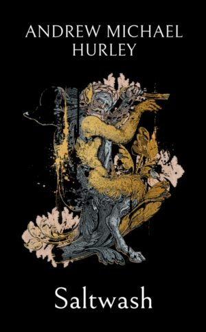 Saltwash : The chilling new novel from the 'master of menace' by Hurley, Andrew Michael