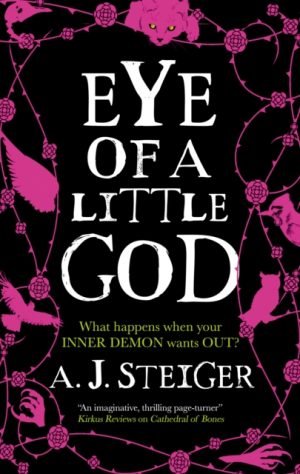Eye of a Little God by Steiger, A.J.