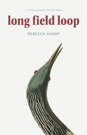 Long Field Loop by Sharp, Rebecca