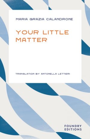 Your Little Matter by Calandrone, Maria Grazia