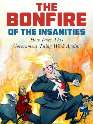 The Bonfire of the Insanities : How Does This Government Thing Work Again? by Crace, John
