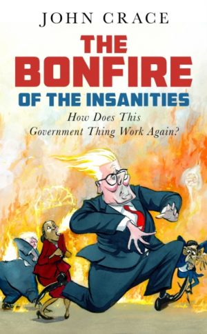 The Bonfire of the Insanities : How Does This Government Thing Work Again? by Crace, John