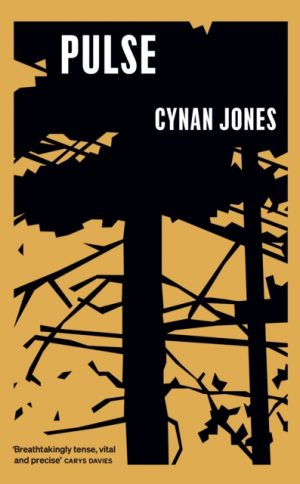 Pulse by Jones, Cynan