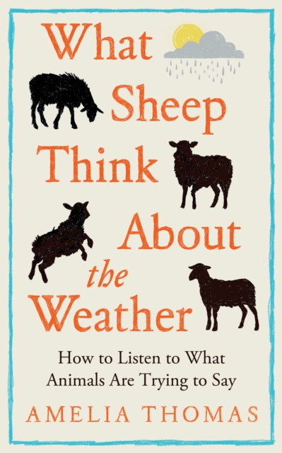 What Sheep Think About the Weather : How to listen to what animals are trying to say by Thomas, Amelia