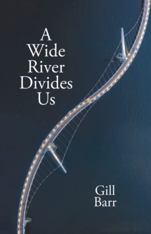 A Wide River Divides Us by Barr, Gill