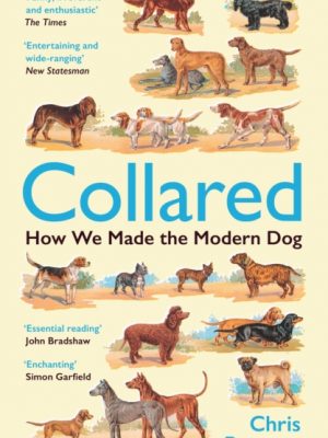 Collared : How We Made the Modern Dog by Pearson, Chris
