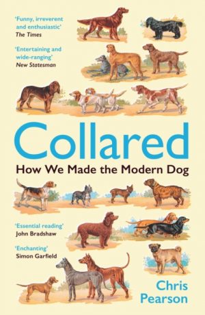 Collared : How We Made the Modern Dog by Pearson, Chris