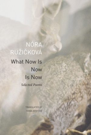 What Now Is Now Is Now : Selected Poems by Ruzickova, Nora