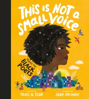 This Is Not A Small Voice : Poems by Black Poets by Orlando, Jade
