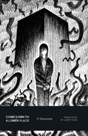 Come Down to a Lower Place by Hong, Janet