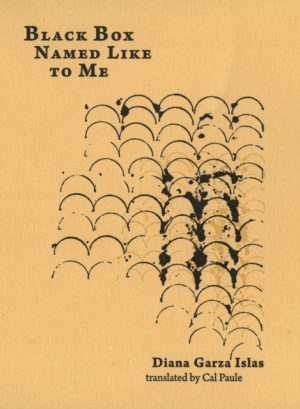 Black Box Named Like to Me by Islas, Diana