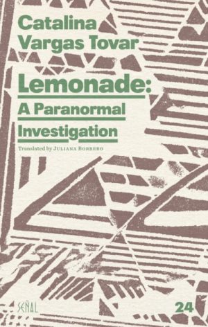 Lemonade: A Paranormal Investigation