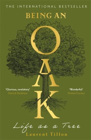 Being an Oak : Life as a tree by Tillon, Laurent