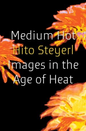 Medium Hot : Images in The Age of Heat by Steyerl, Hito