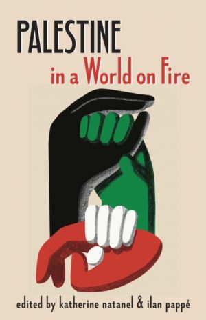 Palestine in a World on Fire : A Global Conversation by Natanel, Katherine