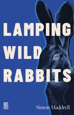 lamping wild rabbits by Maddrell, Simon