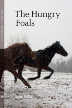 The Hungry Foals by Miller, Helen