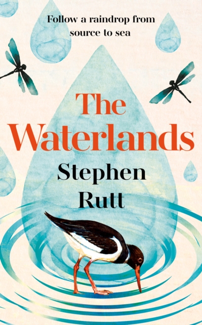 The Waterlands : Follow a Raindrop from Source to Sea by Rutt, Stephen
