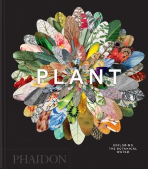 Plant : Exploring the Botanical World by Editors, Phaidon