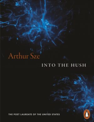 Into the Hush by Sze, Arthur