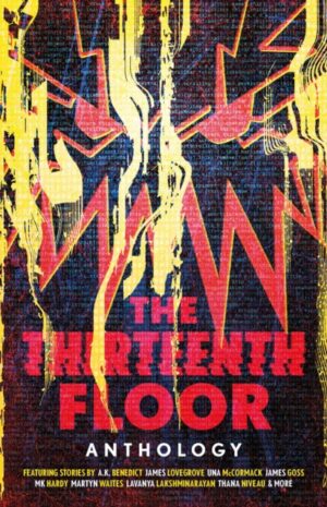 The Thirteenth Floor Anthology by Adams, Guy