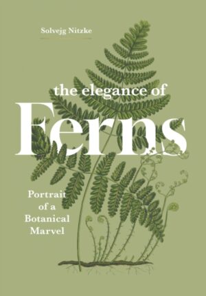 The Elegance of Ferns : Portrait of a Botanical Marvel by Nitzke, Solvejg
