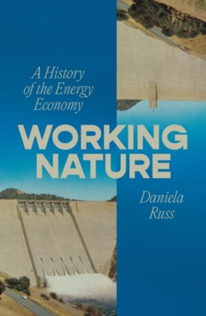 Working Nature : A History of the Energy Economy by Russ, Daniela
