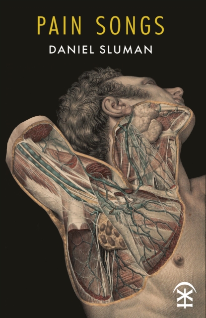 Pain Songs by Sluman, Daniel