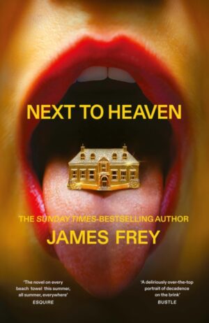 Next to Heaven : The PROVOCATIVE new novel from BESTSELLING author of A Million Little Pieces by Frey, James