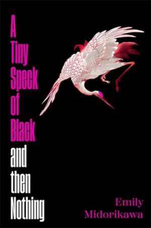 A Tiny Speck of Black and Then Nothing : Winner of the Lucy Cavendish Prize for Fiction by Midorikawa, Emily