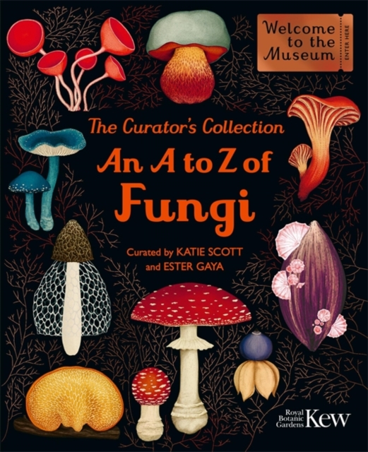 The Curator's Collection: An A to Z of Fungi : A pocket-sized Welcome to the Museum gift edition by Gaya, Ester