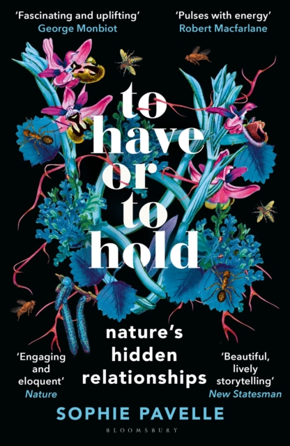 To Have or To Hold : Nature's Hidden Relationships by Pavelle, Sophie
